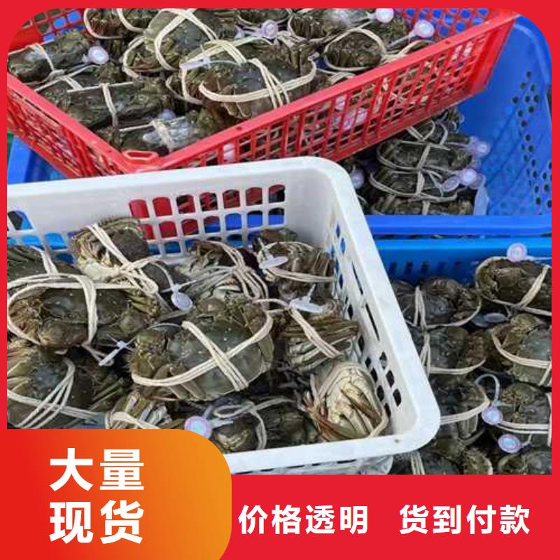 阳澄湖大闸蟹团购