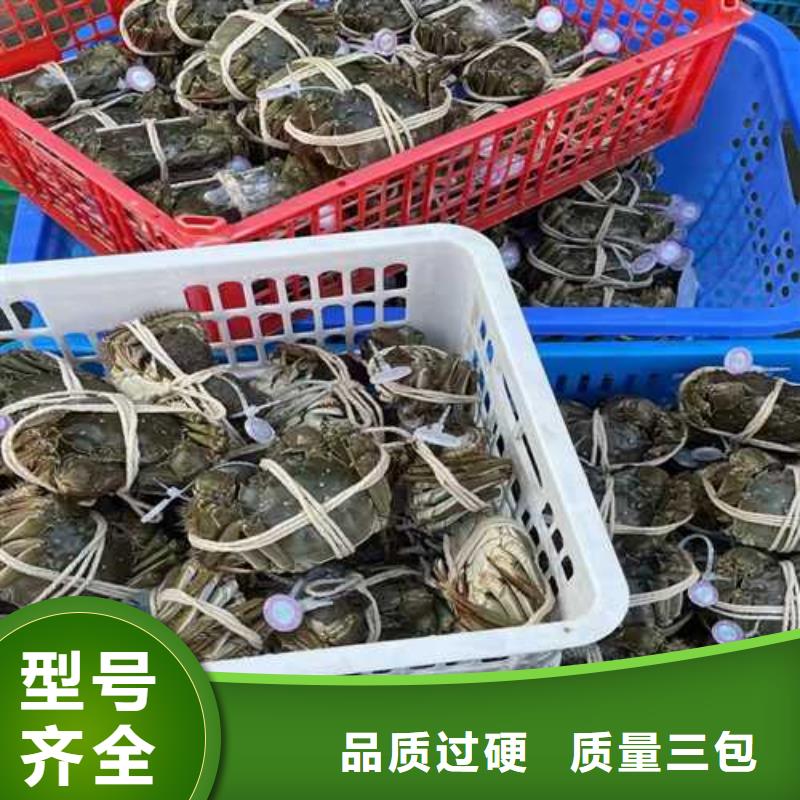 三穗县阳澄湖大闸蟹旗舰店