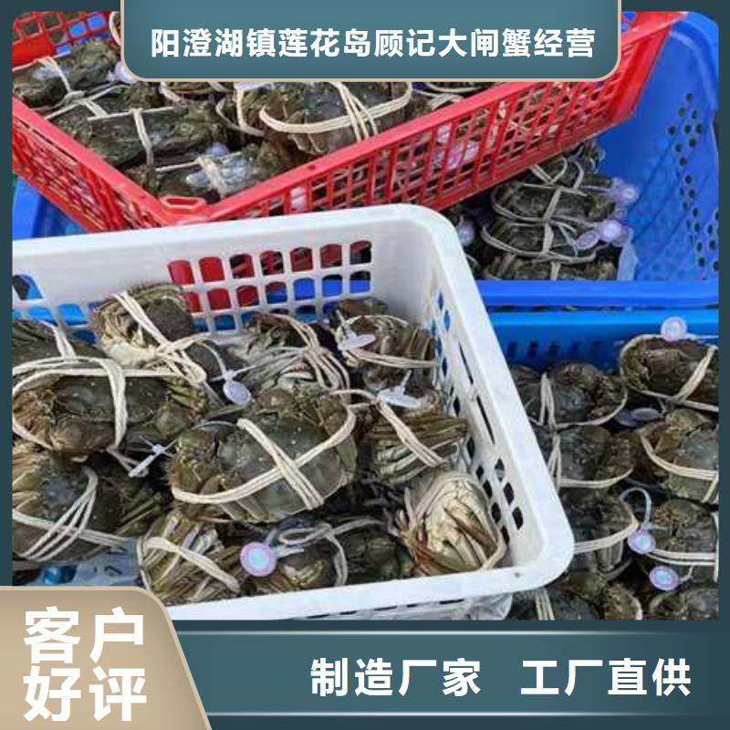 资兴阳澄湖大闸蟹保证
