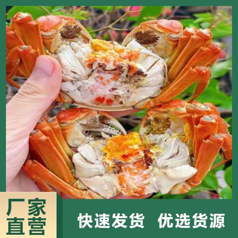 沙河口阳澄湖大闸蟹高端湖蟹