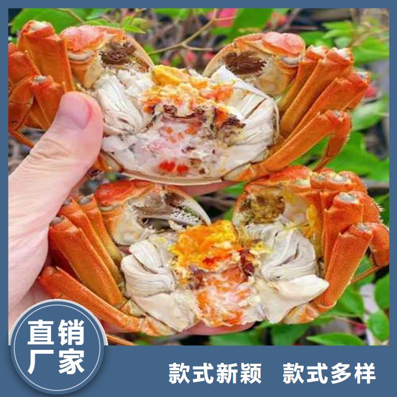 大邑阳澄湖大闸蟹礼盒