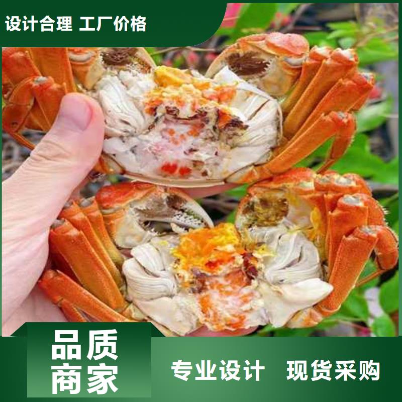 南方大闸蟹团购券