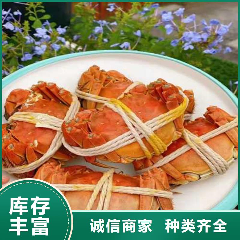 北仓阳澄湖大闸蟹膏肥肉美