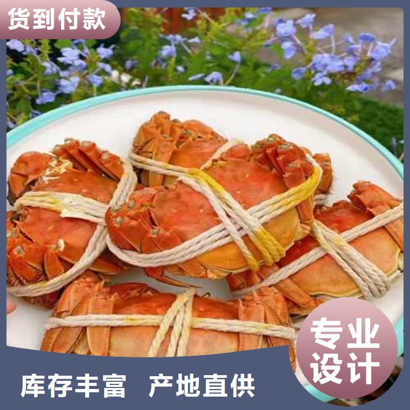 阳澄湖大闸蟹无蟹可击