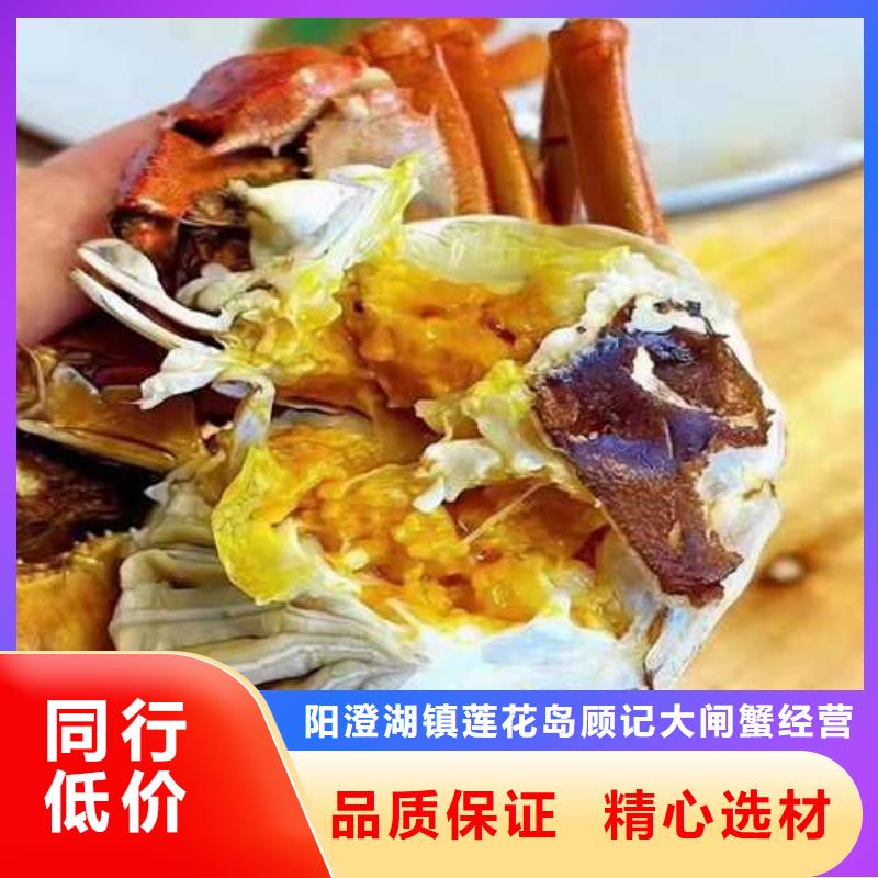 洛龙阳澄湖大闸蟹奢华美味