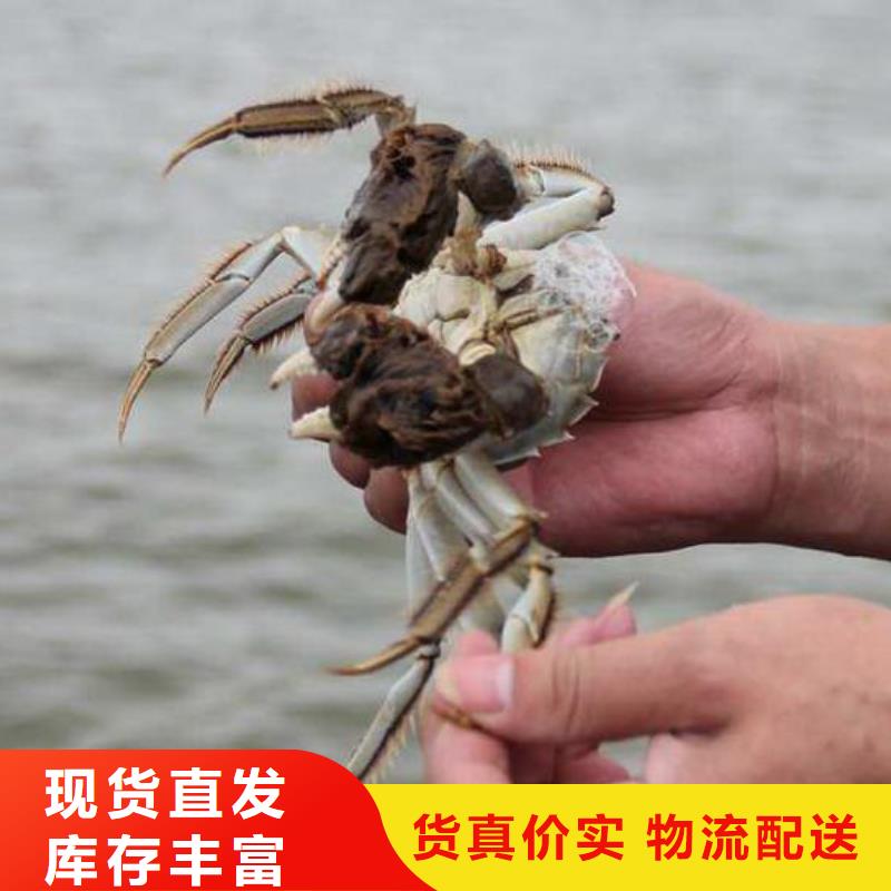 大闸蟹礼盒供应商报价