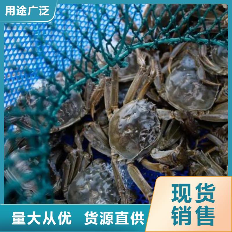 泸溪县阳澄湖大闸蟹专卖