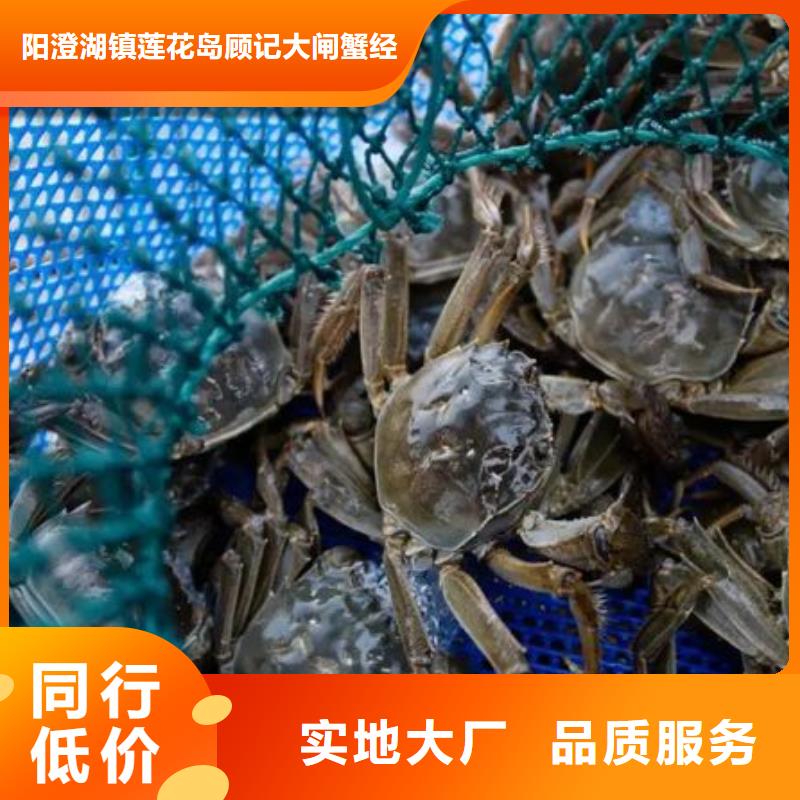 定海阳澄湖大闸蟹团购更优惠