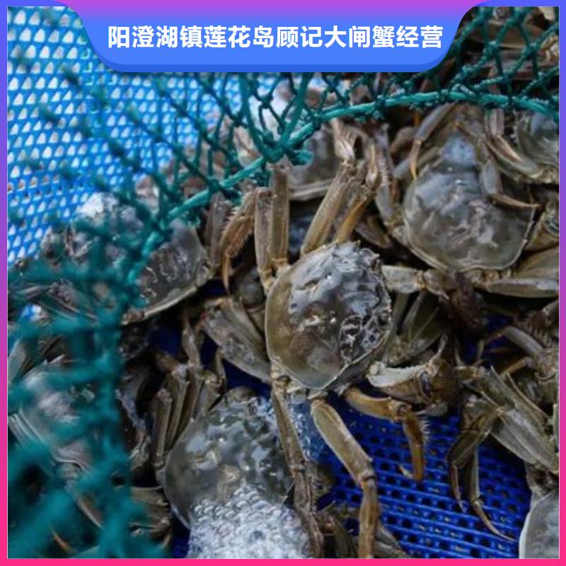 阳澄湖农家乐
