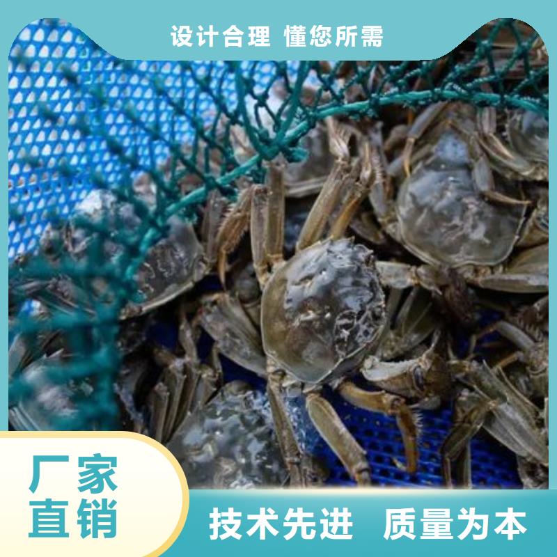 桃城阳澄湖大闸蟹联系方式