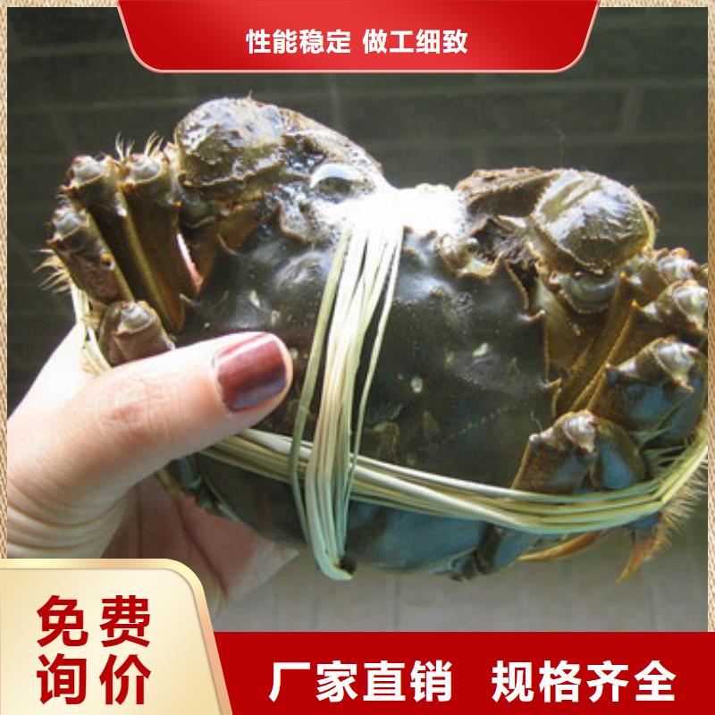 大闸蟹企业-价格优惠