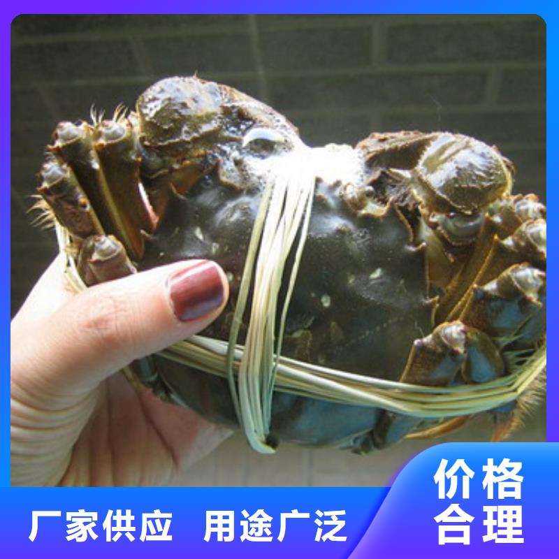 南方大闸蟹团购券