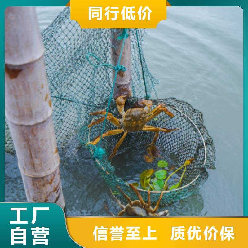 建始阳澄湖大闸蟹联系电话