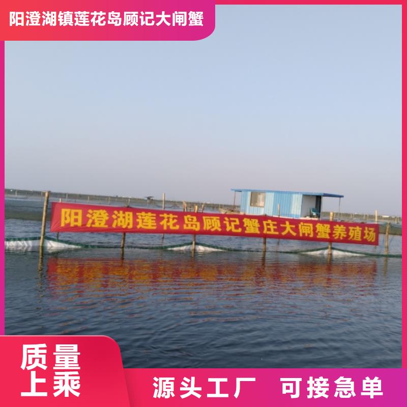 阳澄湖大闸蟹人气高