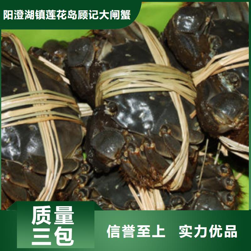 去阳澄湖蟹哪家正宗在苏州阳澄湖