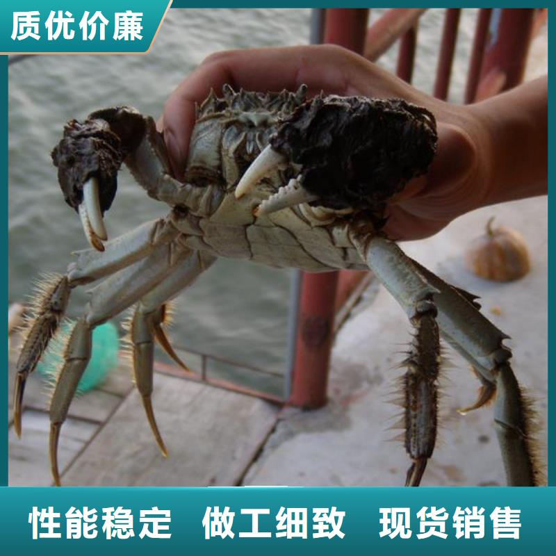 阳澄湖大闸蟹人气高