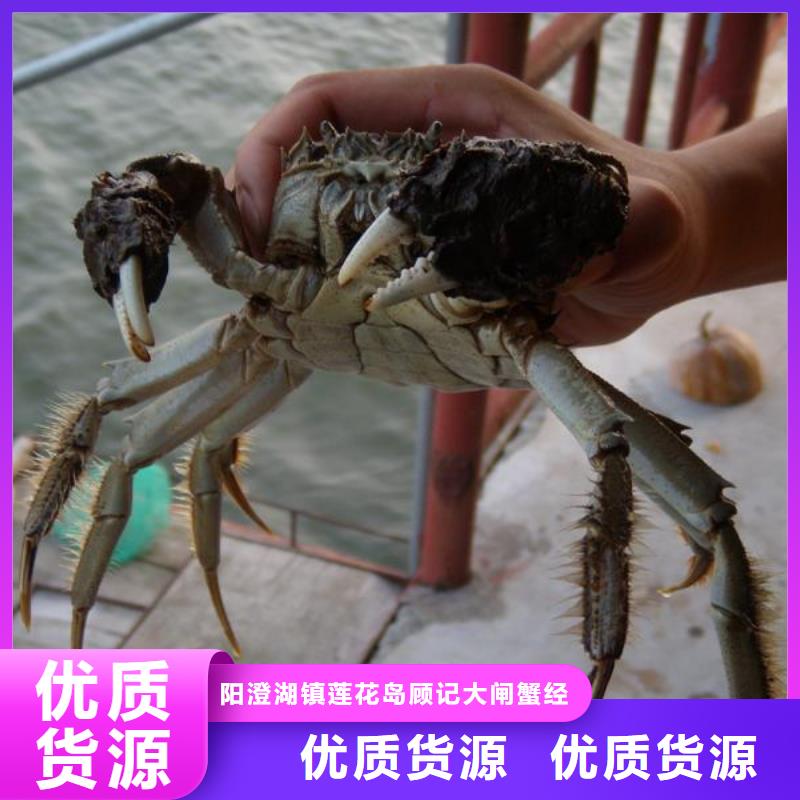永福阳澄湖大闸蟹礼盒