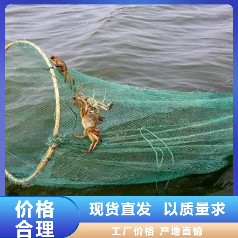 定海阳澄湖大闸蟹团购更优惠