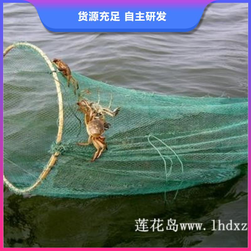 去阳澄湖蟹哪家正宗在苏州阳澄湖