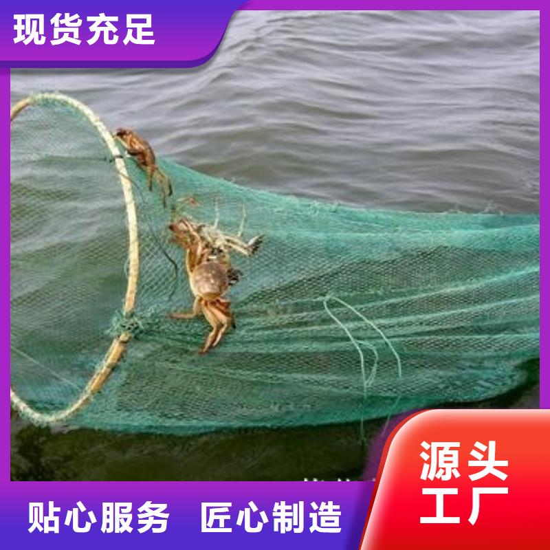 阳澄湖大闸蟹人气高