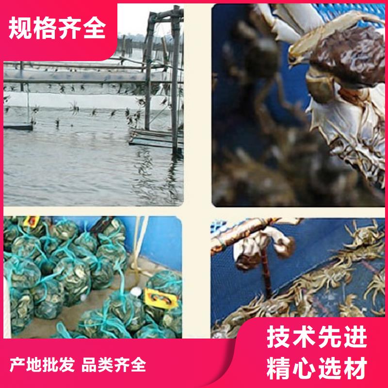 阳澄湖农家乐