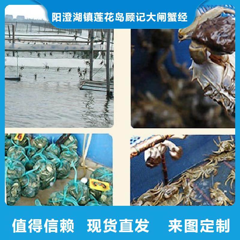 阳澄湖大闸蟹人气高