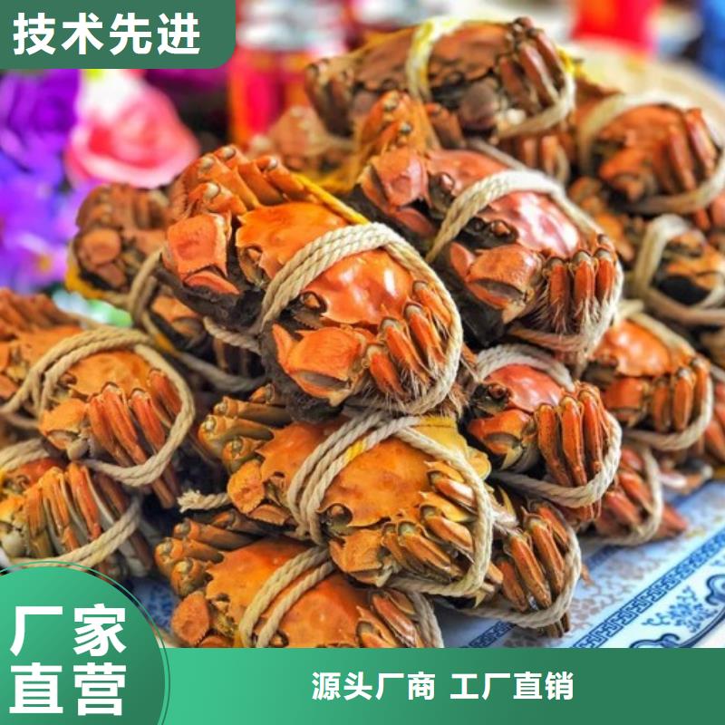 去阳澄湖蟹哪家正宗在苏州阳澄湖