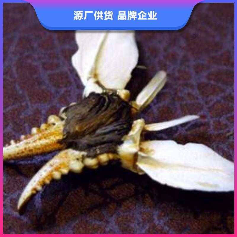 阳澄湖大闸蟹厂家可开票