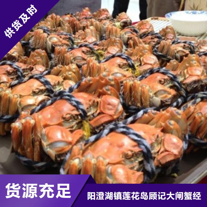 阳澄湖大闸蟹厂家可开票