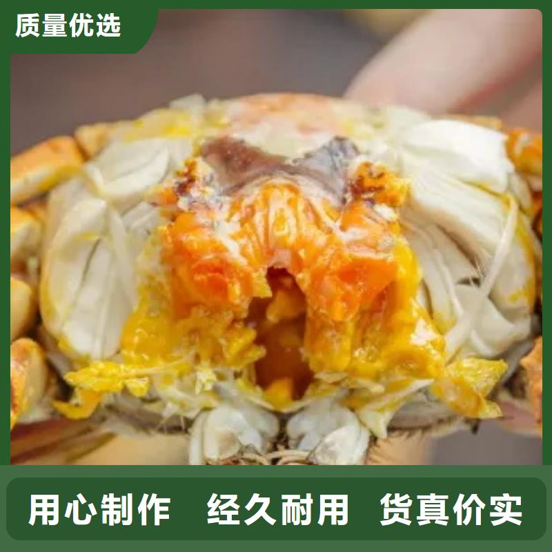阳澄湖大闸蟹本地批发