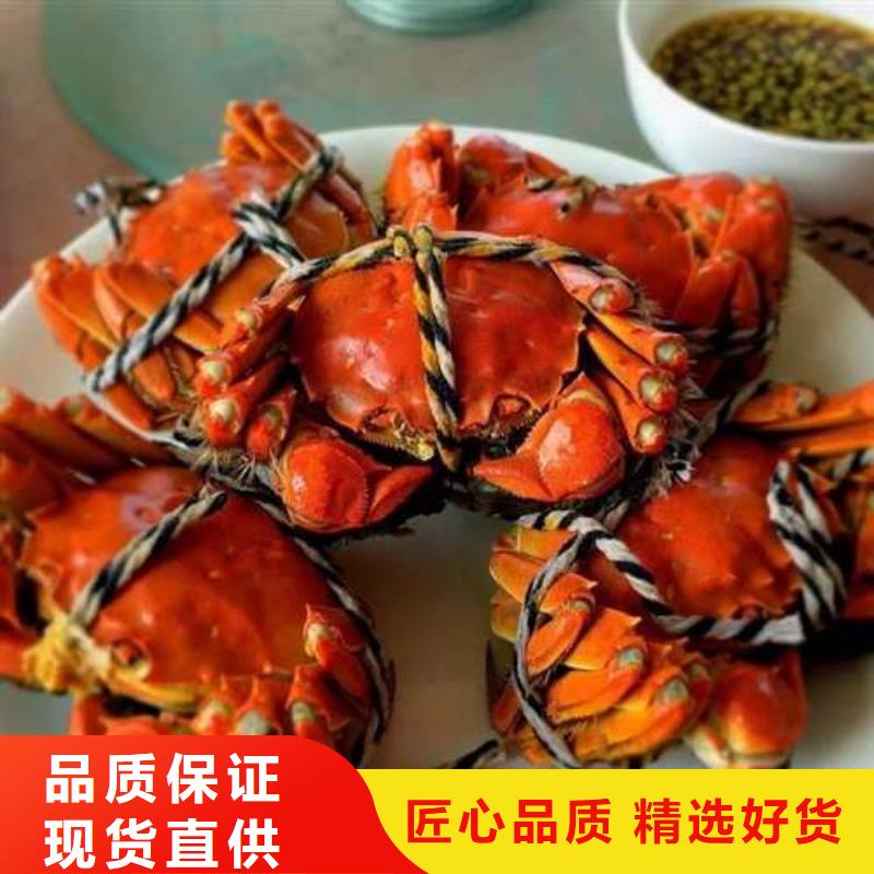 阳澄湖大闸蟹本地批发