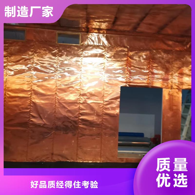 电动防护铅门-送货上门
