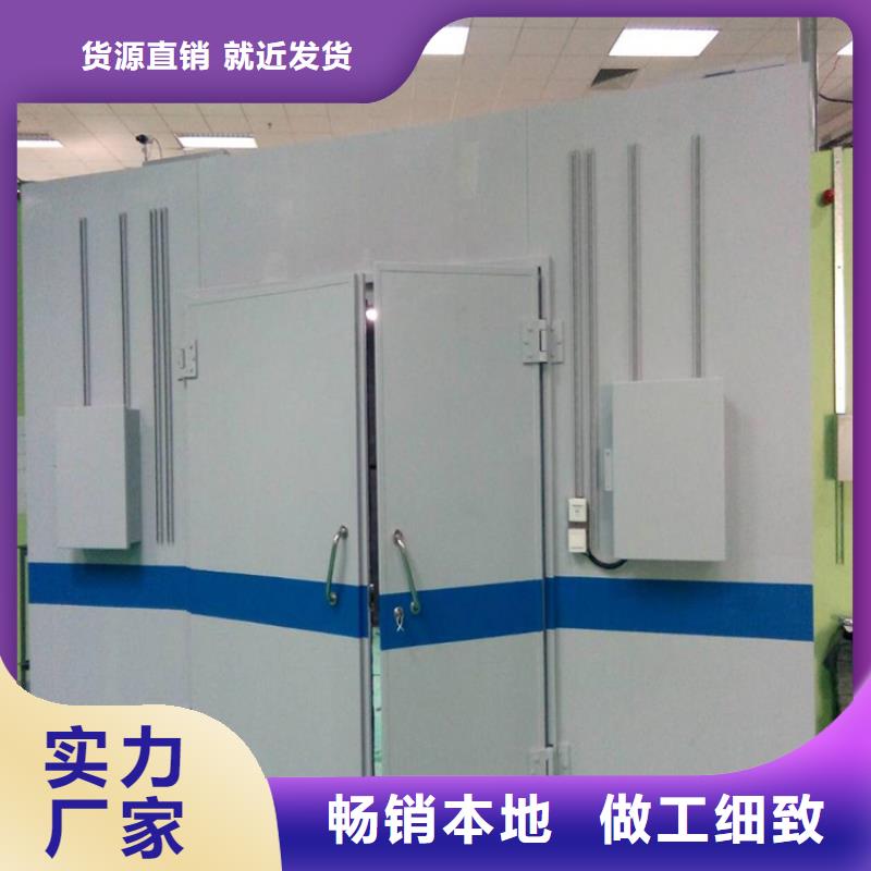 双扇电动防护铅门可配送到厂