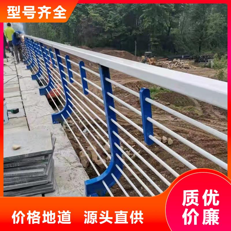 景观绳索护栏服务商