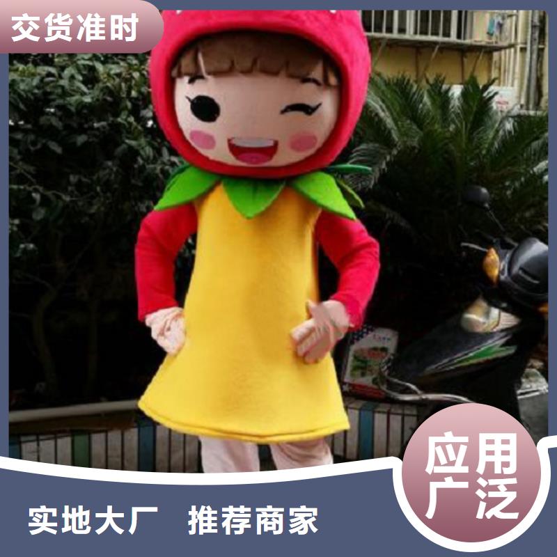 经典人偶服装定制厂家,玩偶服娃娃质地良