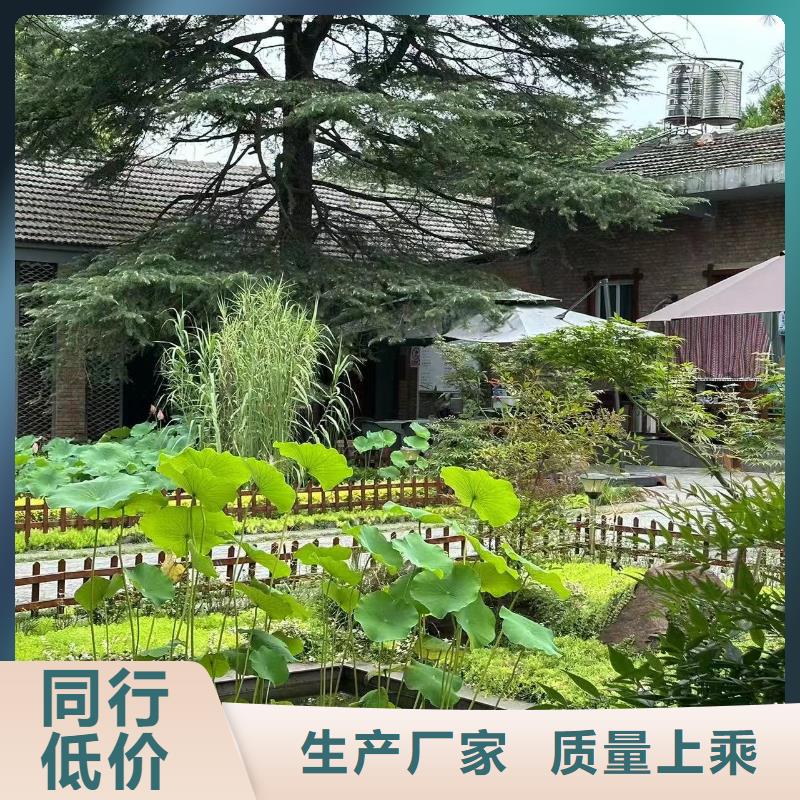 农村别墅一层带院子伴月居