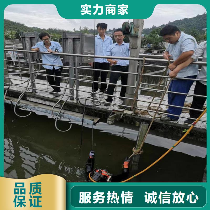 潜水员服务公司--本地潜水作业队伍