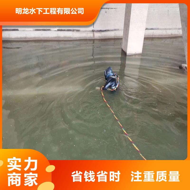 潜水员服务公司--本地潜水作业队伍