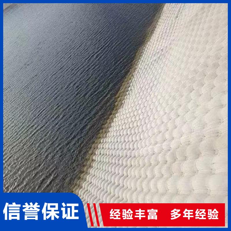 水下管道气囊封堵公司-本地潜水作业施工队