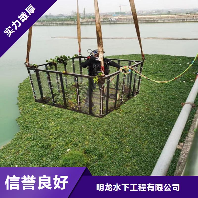 水下桥桩录像检测公司-承接各种水下问题