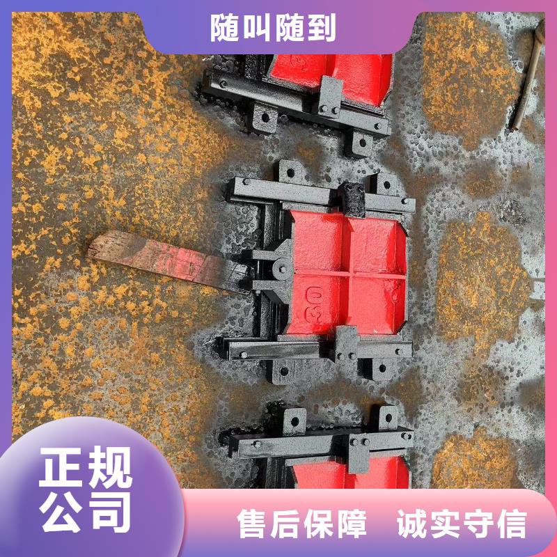 铸铁镶铜闸门-PZ双向止水铸铁镶铜闸门老品牌