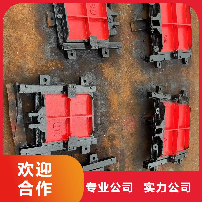 铸铁镶铜闸门-水利闸门启闭机技术领先