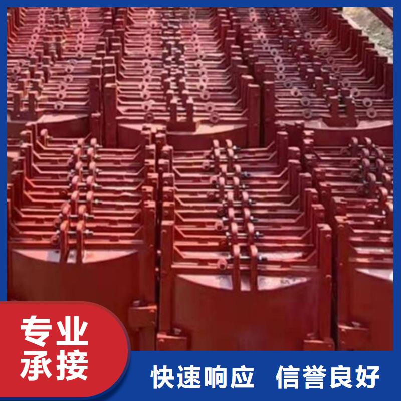 铸铁闸门-平面闸门带直联启闭机直供价优