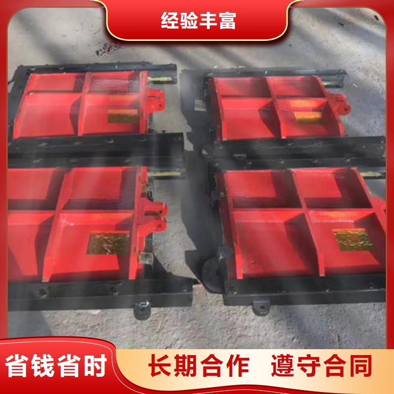 经验丰富的闸门软密封经销商