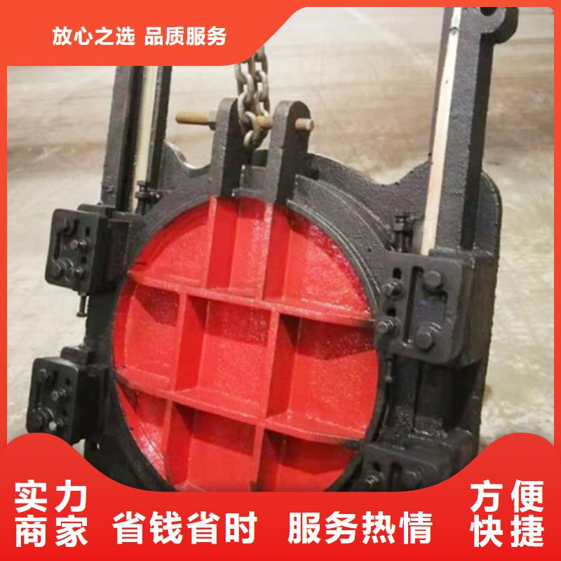青羊区铸铁闸门源头好货