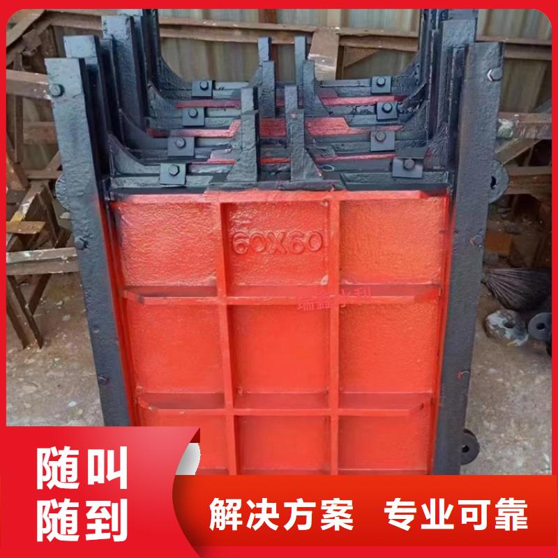 渠道闸门-双向铸铁镶铜闸门实力雄厚
