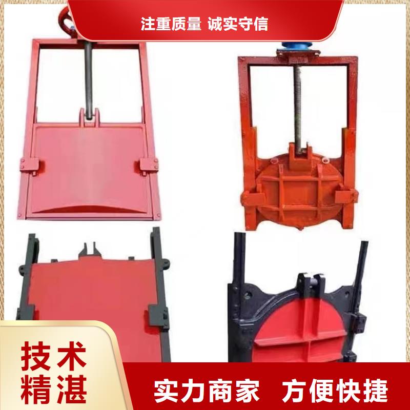 水电站闸门_铸铁双向止水闸门[生产厂家价格]