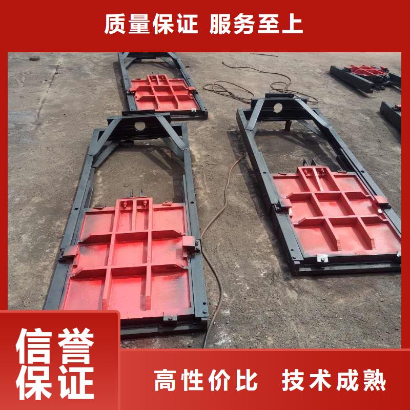 启闭机闸门厂家数十年行业经验