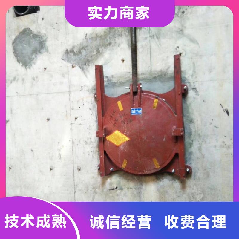水电站闸门_渠道闸门丝杆[生产厂家价格]