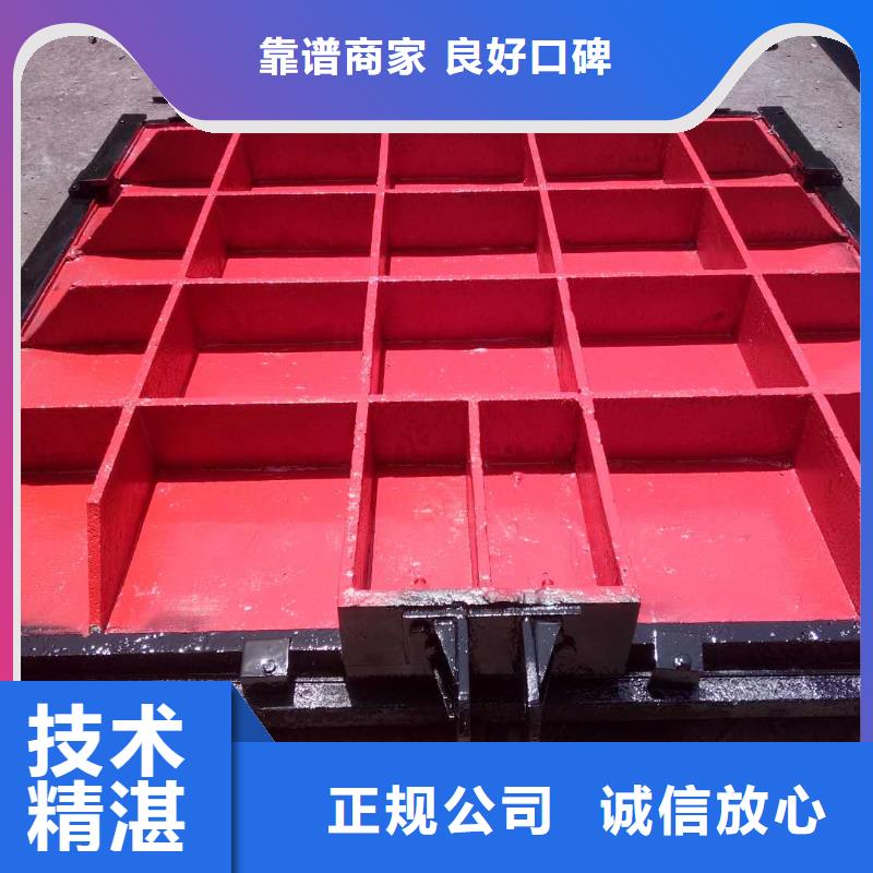 河道铸铁闸门-水闸闸门实力雄厚